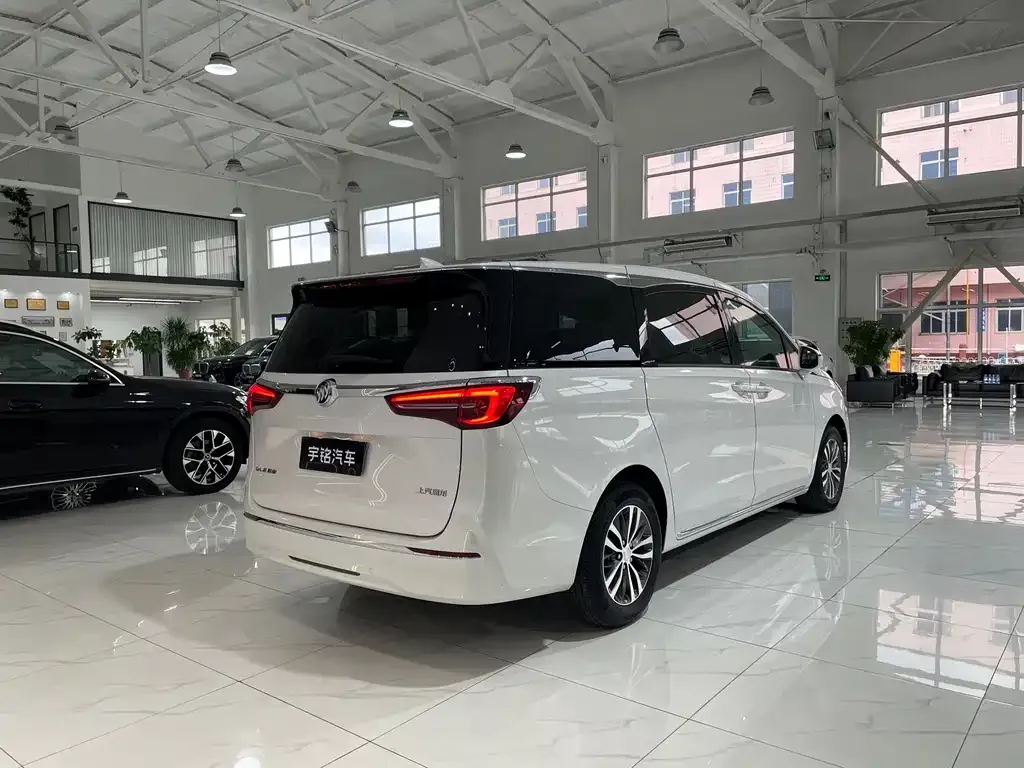 Buick GL8 2024 из CN, фото 6
