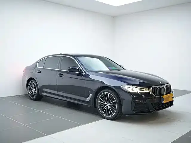 BMW 5 Series 2021 из CN, фото 2
