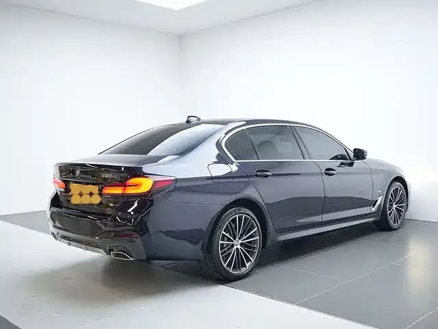 BMW 5 Series 2021 из CN, фото 3