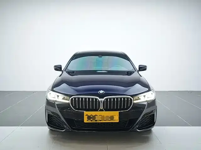 BMW 5 Series 2021 из CN, фото 4