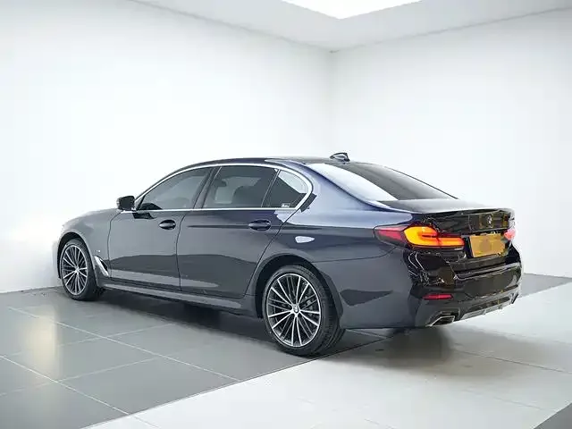 BMW 5 Series 2021 из CN, фото 6