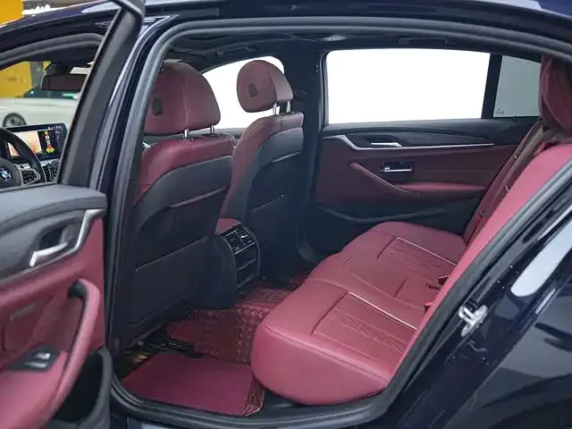 BMW 5 Series 2021 из CN, фото 8