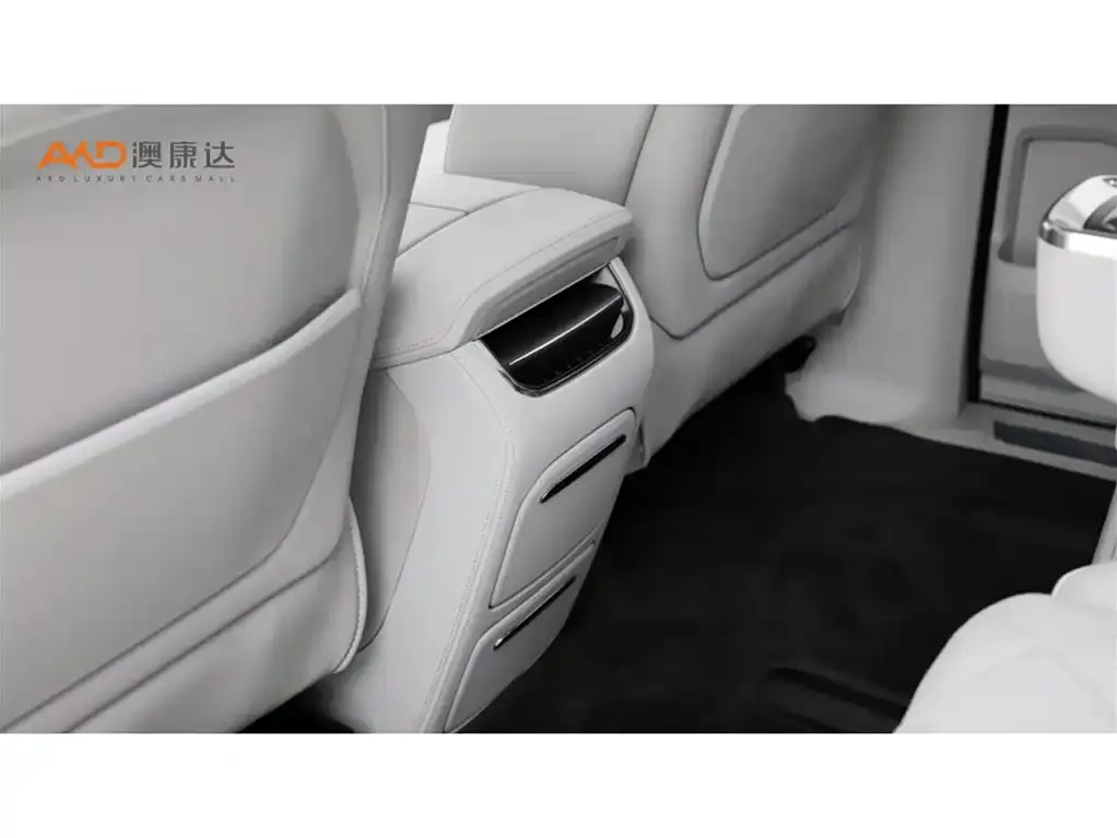 Volvo EM90 2024 из CN, фото 10
