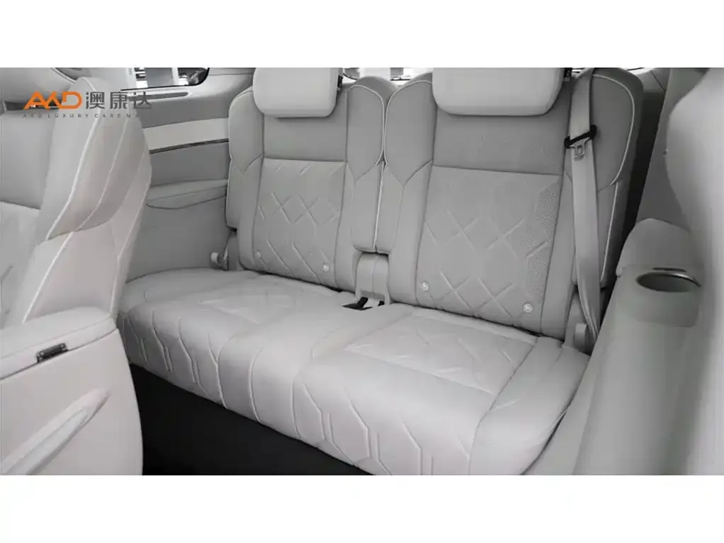 Volvo EM90 2024 из CN, фото 9