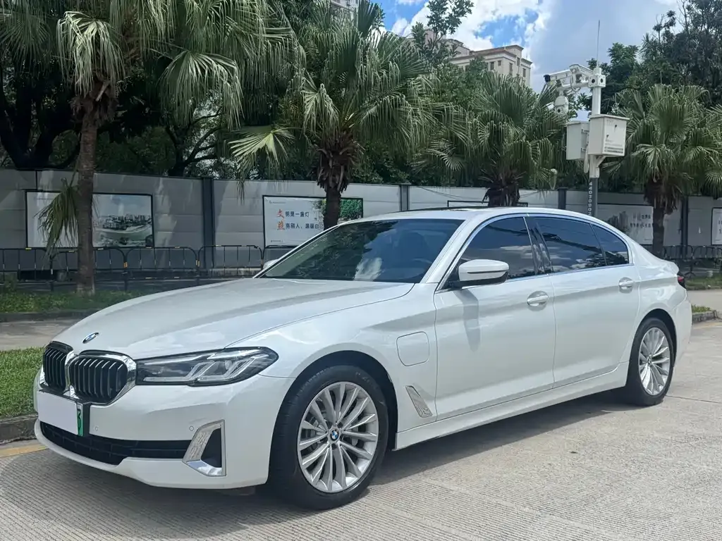 BMW 5 Series New Energy 2021 из CN, фото 1