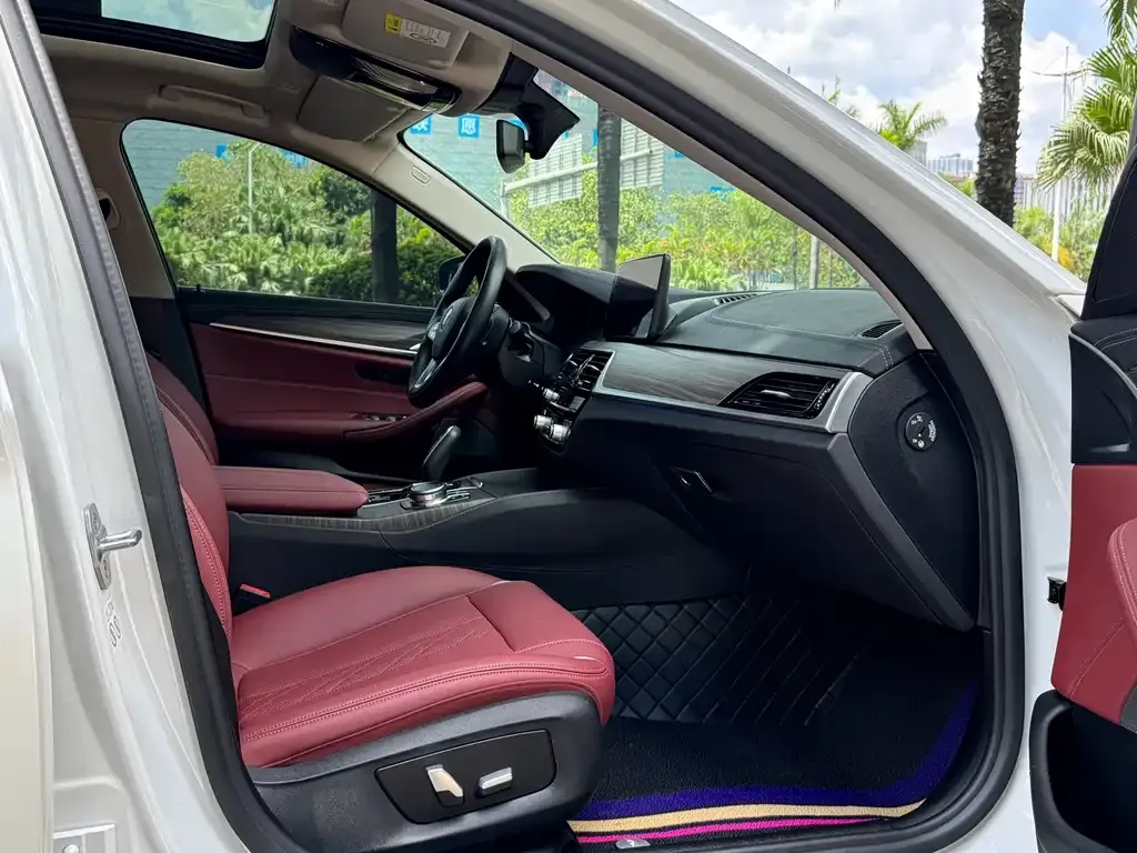 BMW 5 Series New Energy 2021 из CN, фото 10