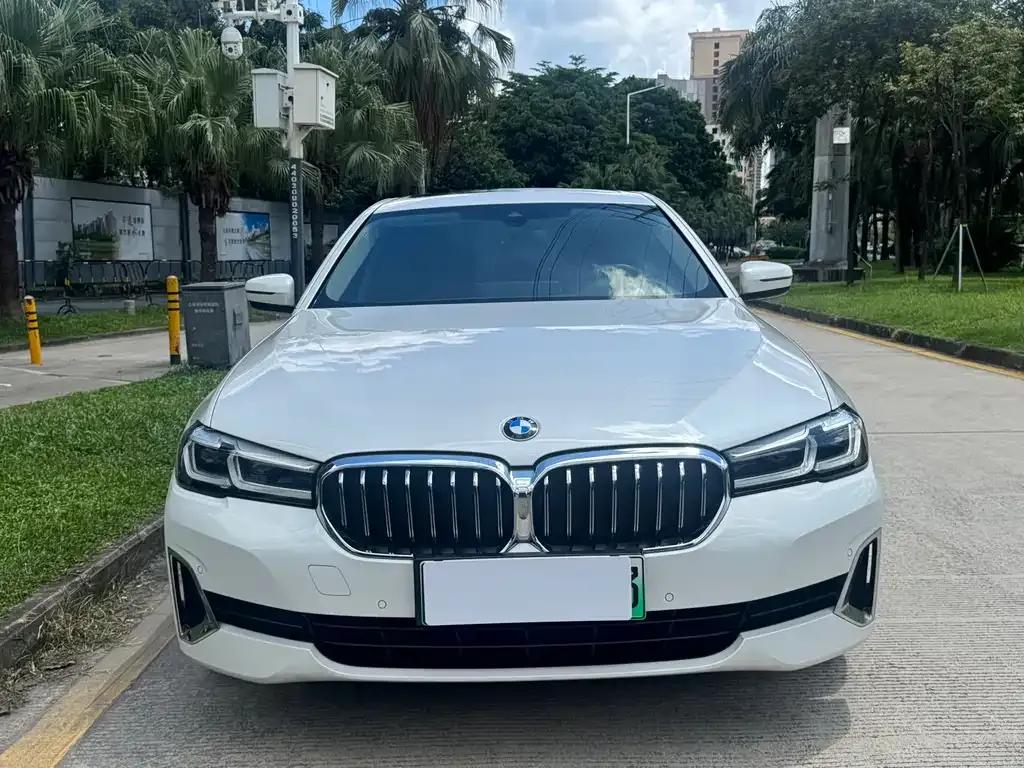 BMW 5 Series New Energy 2021 из CN, фото 2