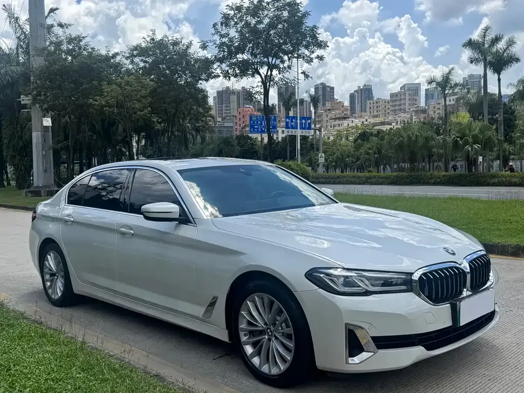 BMW 5 Series New Energy 2021 из CN, фото 3