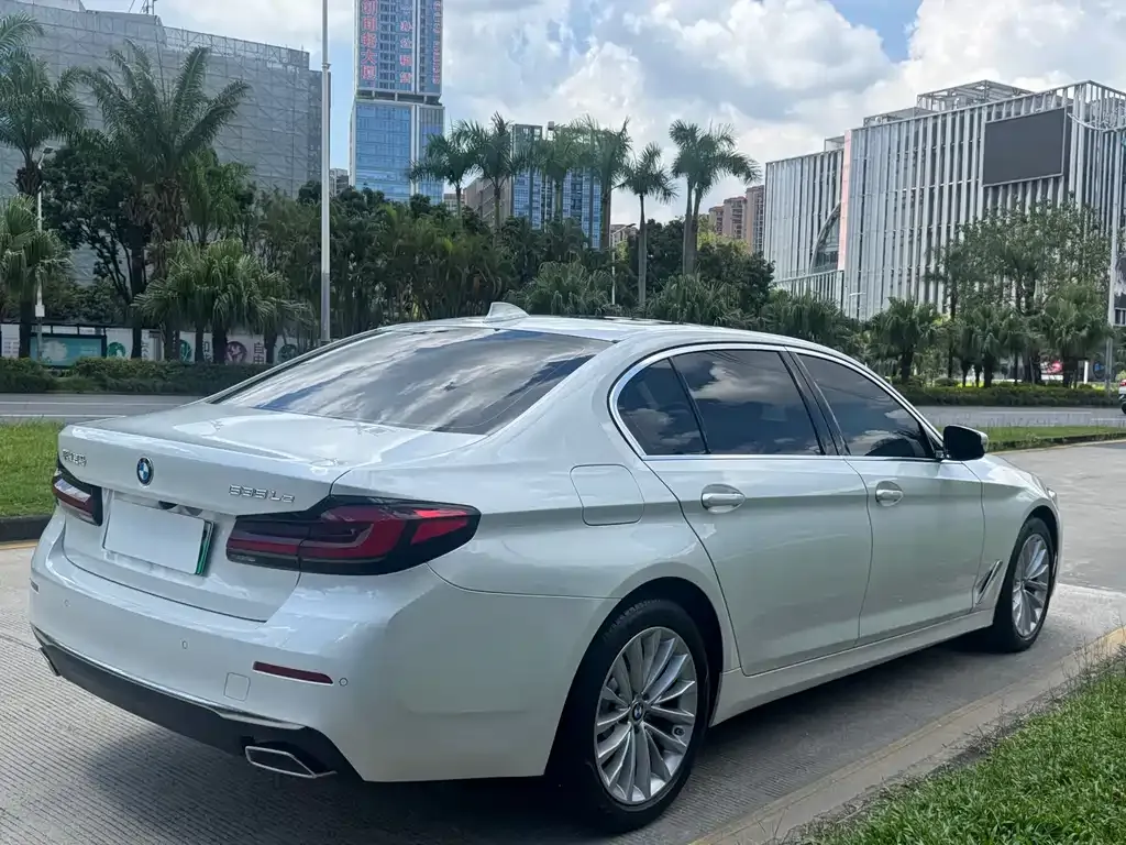 BMW 5 Series New Energy 2021 из CN, фото 4
