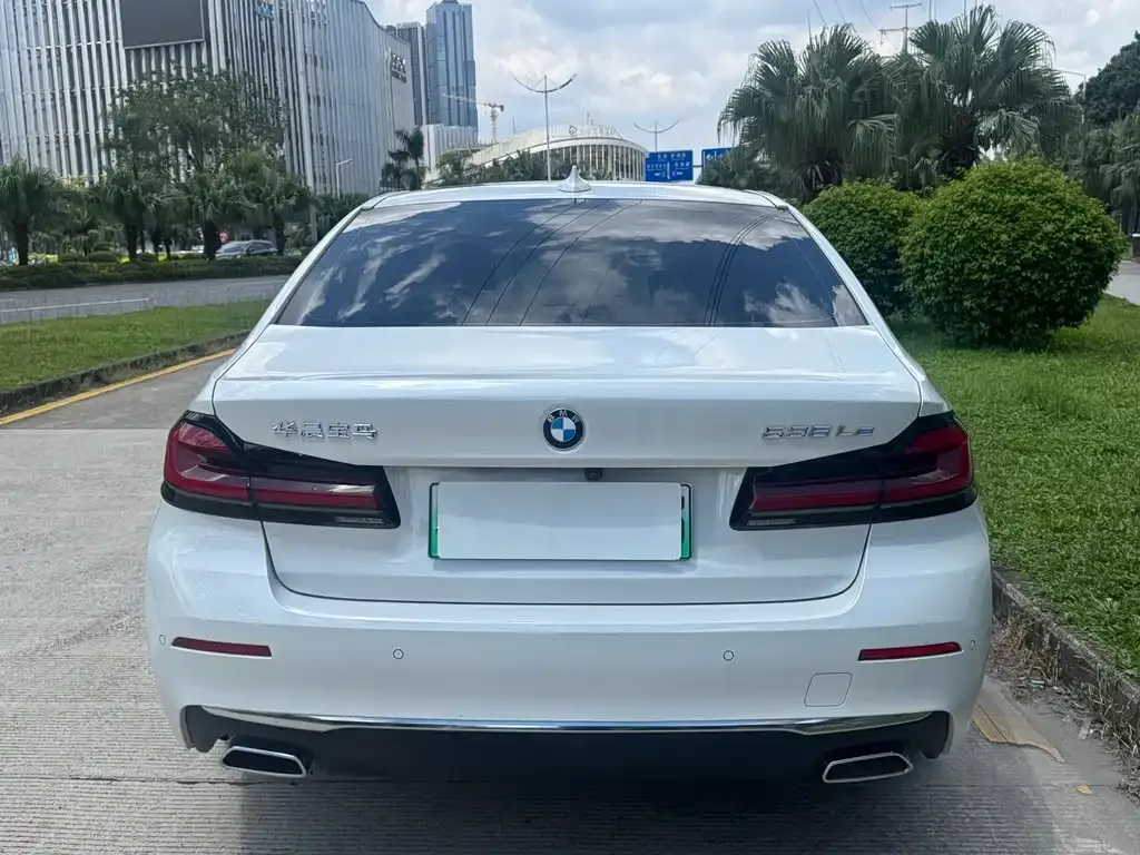 BMW 5 Series New Energy 2021 из CN, фото 5