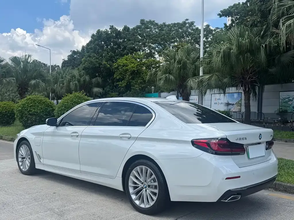 BMW 5 Series New Energy 2021 из CN, фото 6
