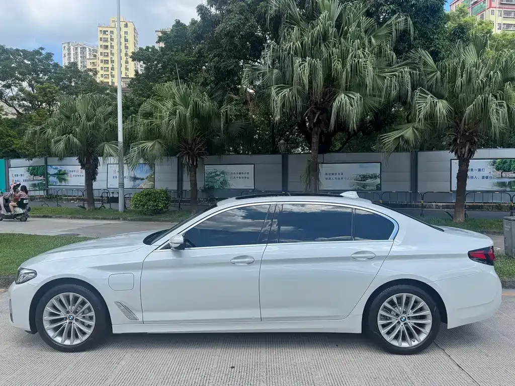 BMW 5 Series New Energy 2021 из CN, фото 7