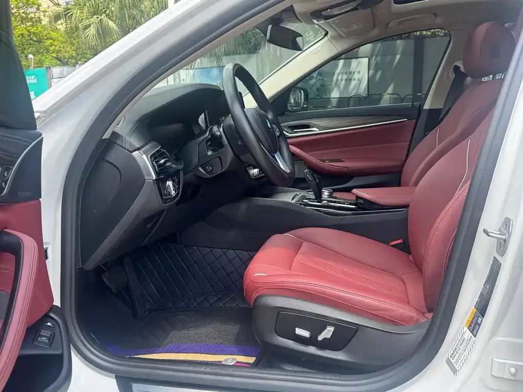 BMW 5 Series New Energy 2021 из CN, фото 8