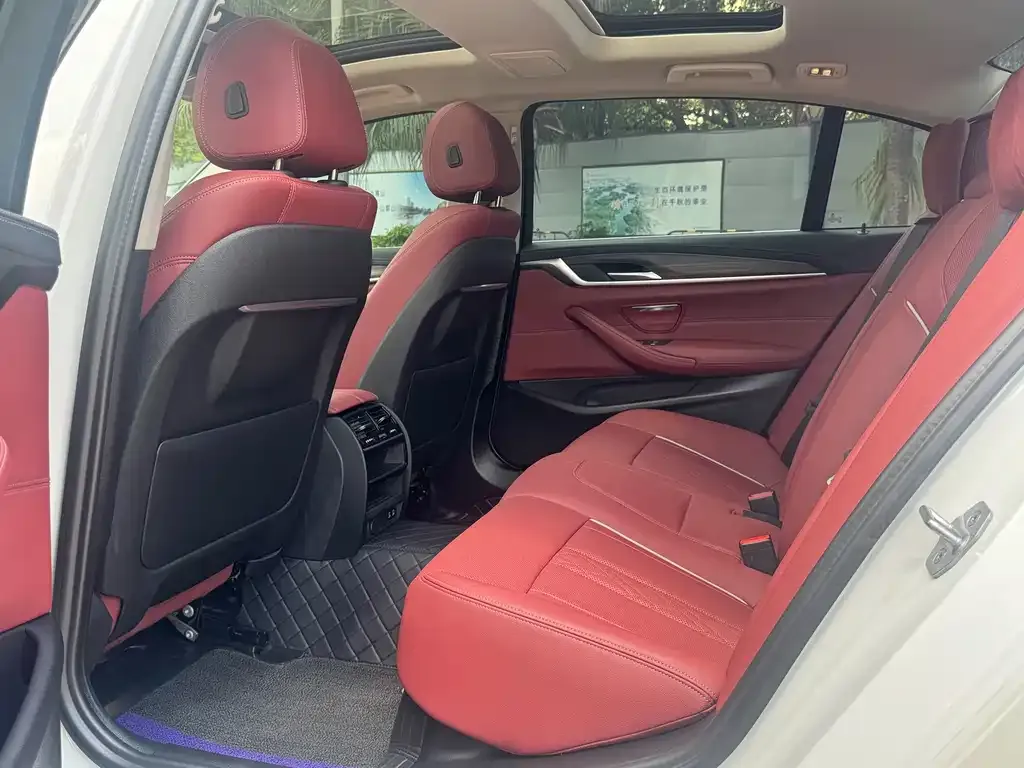 BMW 5 Series New Energy 2021 из CN, фото 9