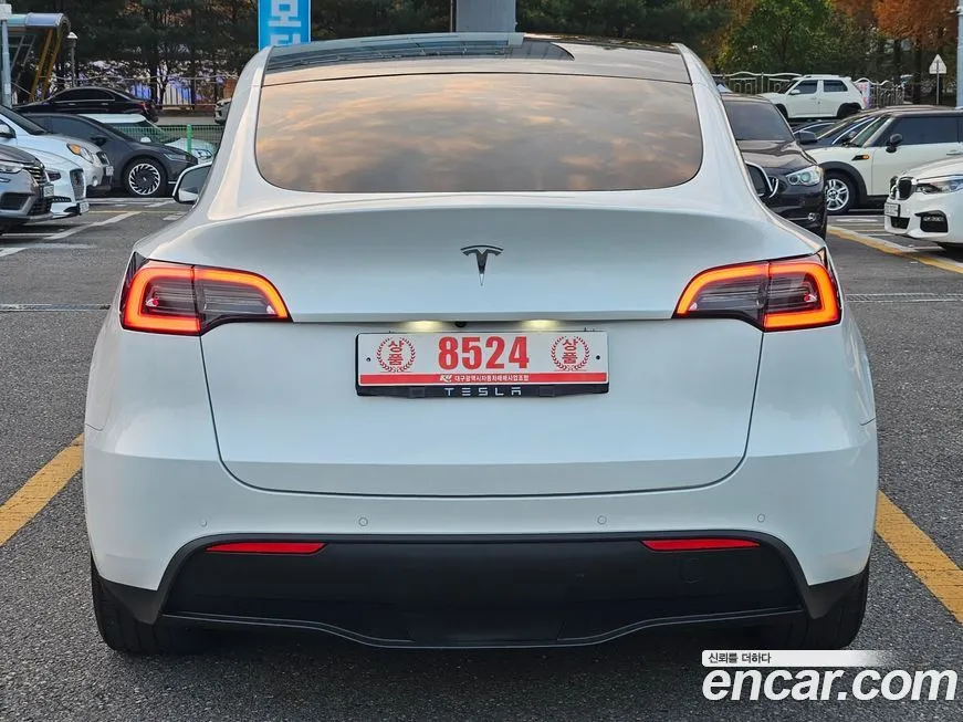 Tesla Model Y 2021 из KR, фото 4