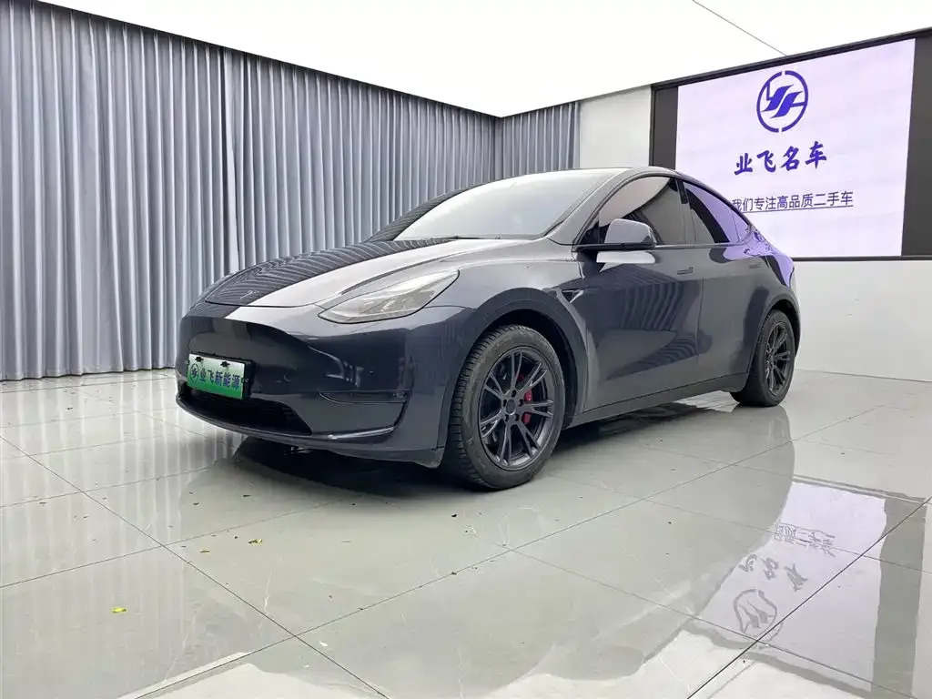 Tesla Model Y — фото 1