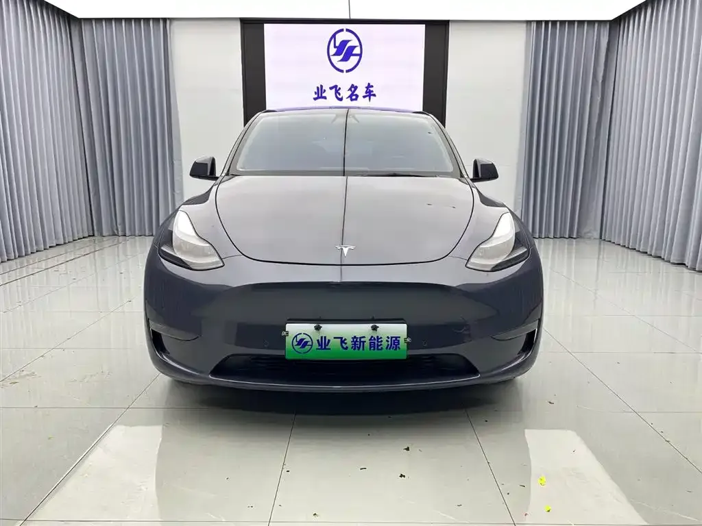 Tesla Model Y — фото 2