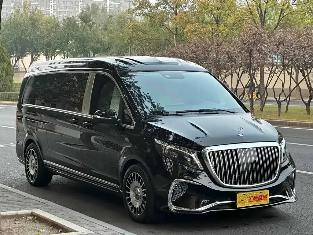 Mercedes-Benz V-Class 2023 из CN, фото 2