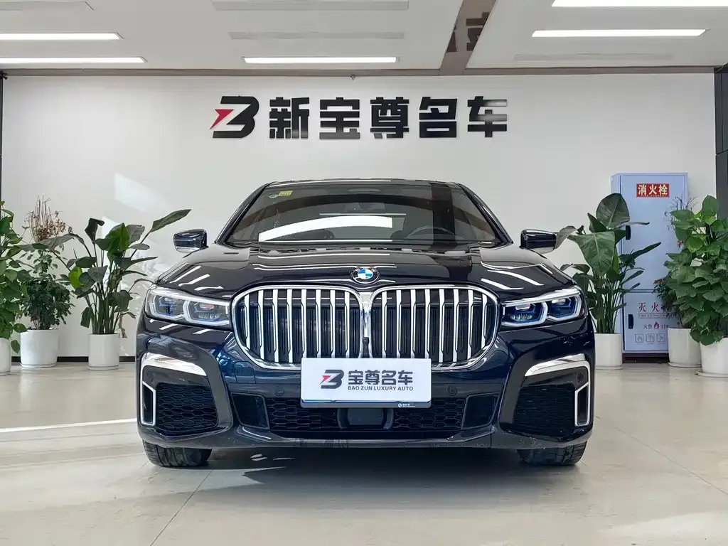 BMW 7 Series 2021 из CN, фото 2
