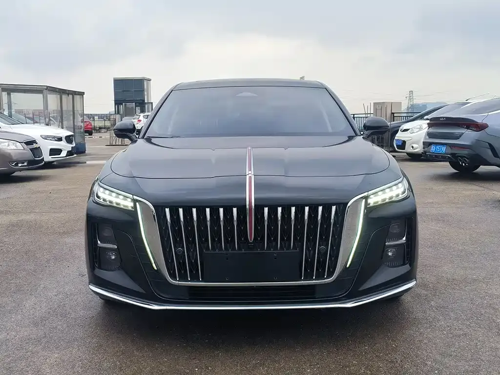 Hongqi H5 2023 из CN, фото 2