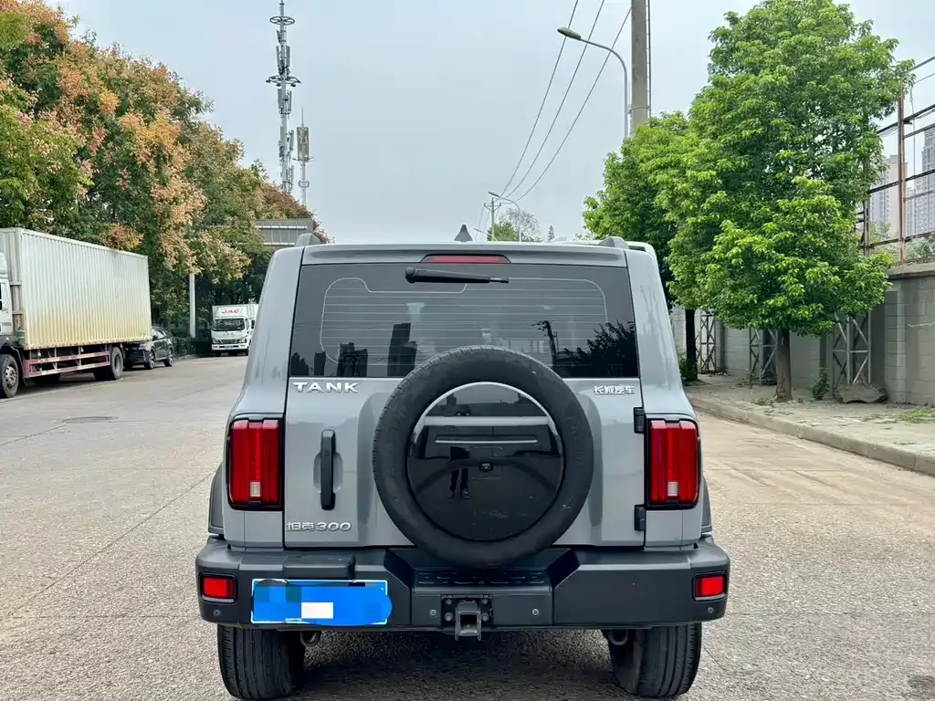 [object Object] Tank 300 2023 из CN, фото 8