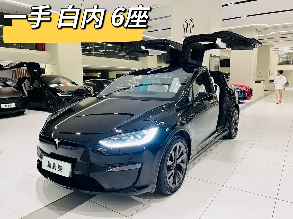 Tesla Model X 2023 из CN, фото 1