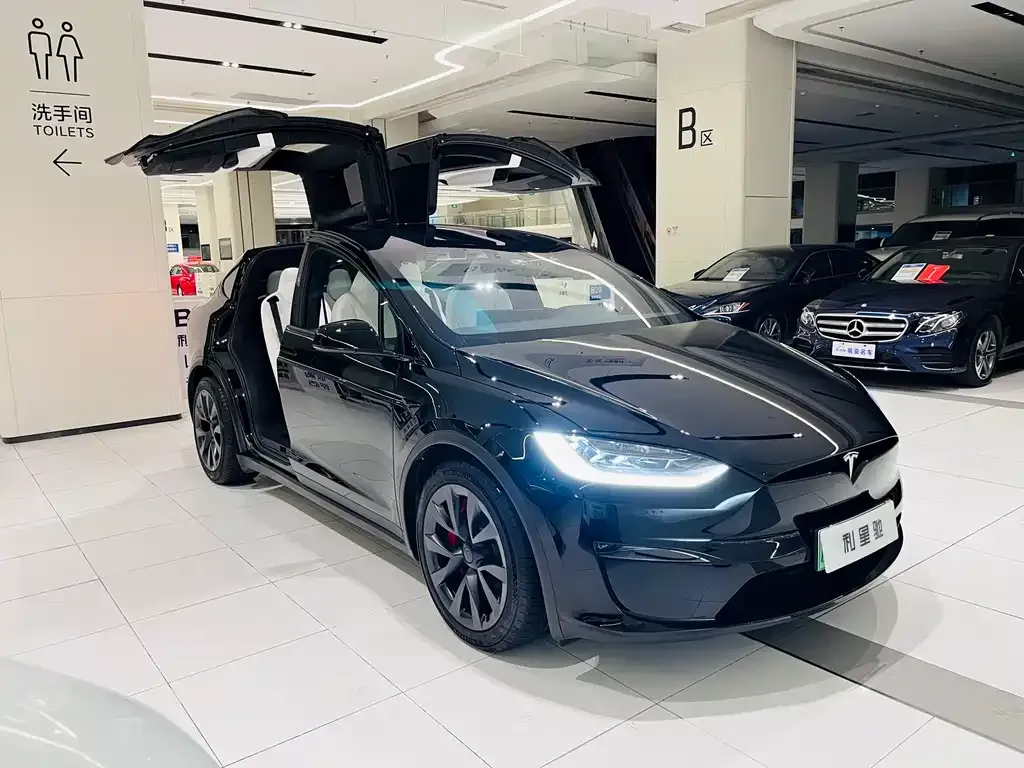 Tesla Model X 2023 из CN, фото 2