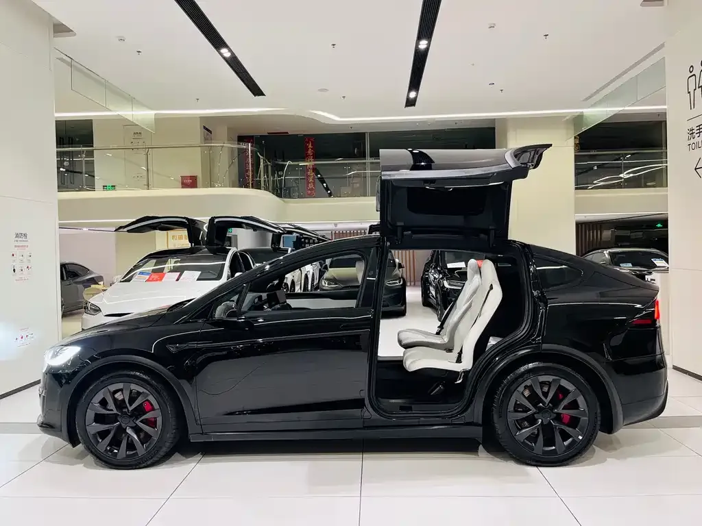 Tesla Model X 2023 из CN, фото 5