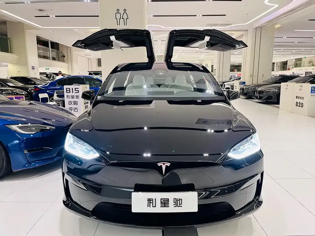 Tesla Model X 2023 из CN, фото 6