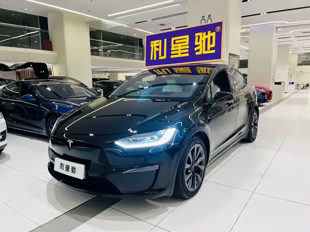 Tesla Model X 2023 из CN, фото 7