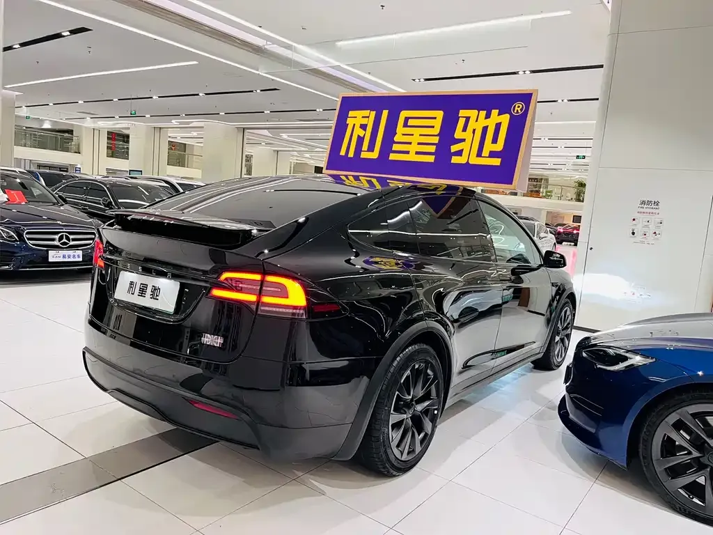 Tesla Model X 2023 из CN, фото 9