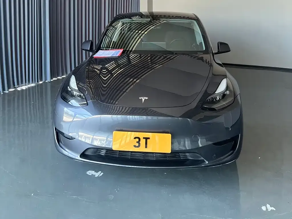 Tesla Model Y 2022 из CN, фото 1