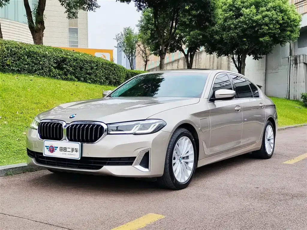 BMW 5 Series New Energy 2021 из CN, фото 1