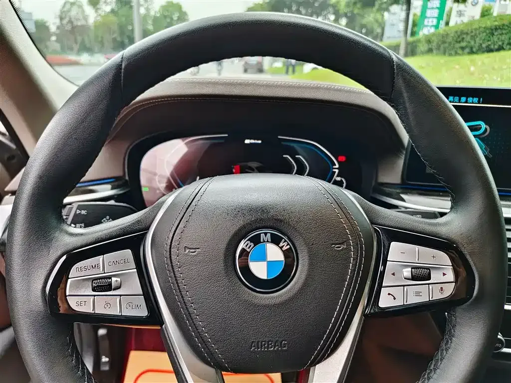BMW 5 Series New Energy 2021 из CN, фото 10