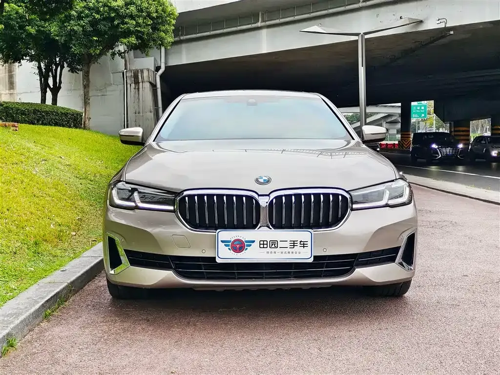 BMW 5 Series New Energy 2021 из CN, фото 2