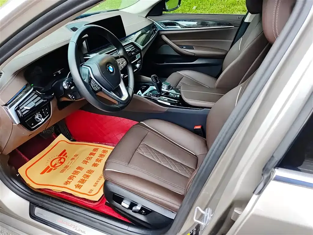 BMW 5 Series New Energy 2021 из CN, фото 7