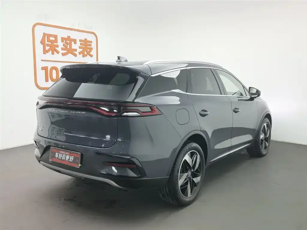 BYD Tang New Energy 2024 из CN, фото 2