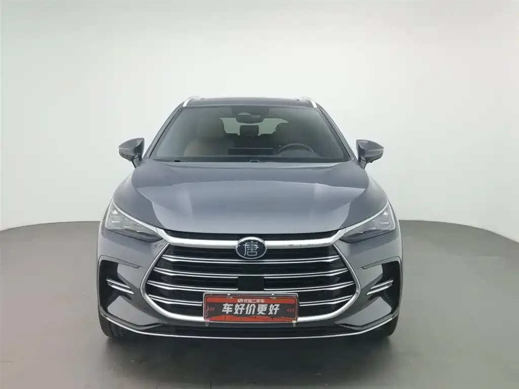 BYD Tang New Energy 2024 из CN, фото 3