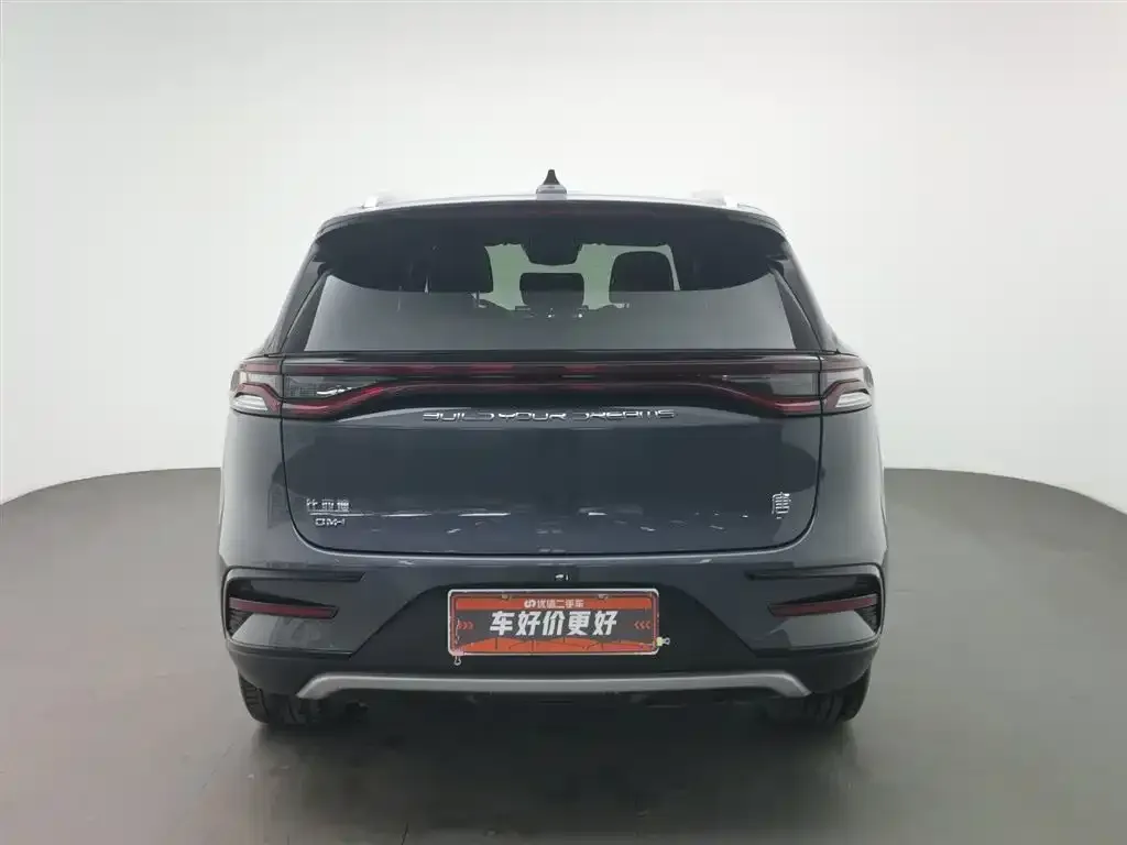 BYD Tang New Energy 2024 из CN, фото 4