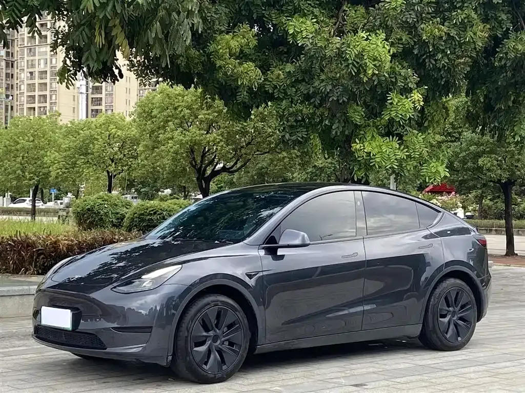 Tesla Model Y 2024 из CN, фото 1