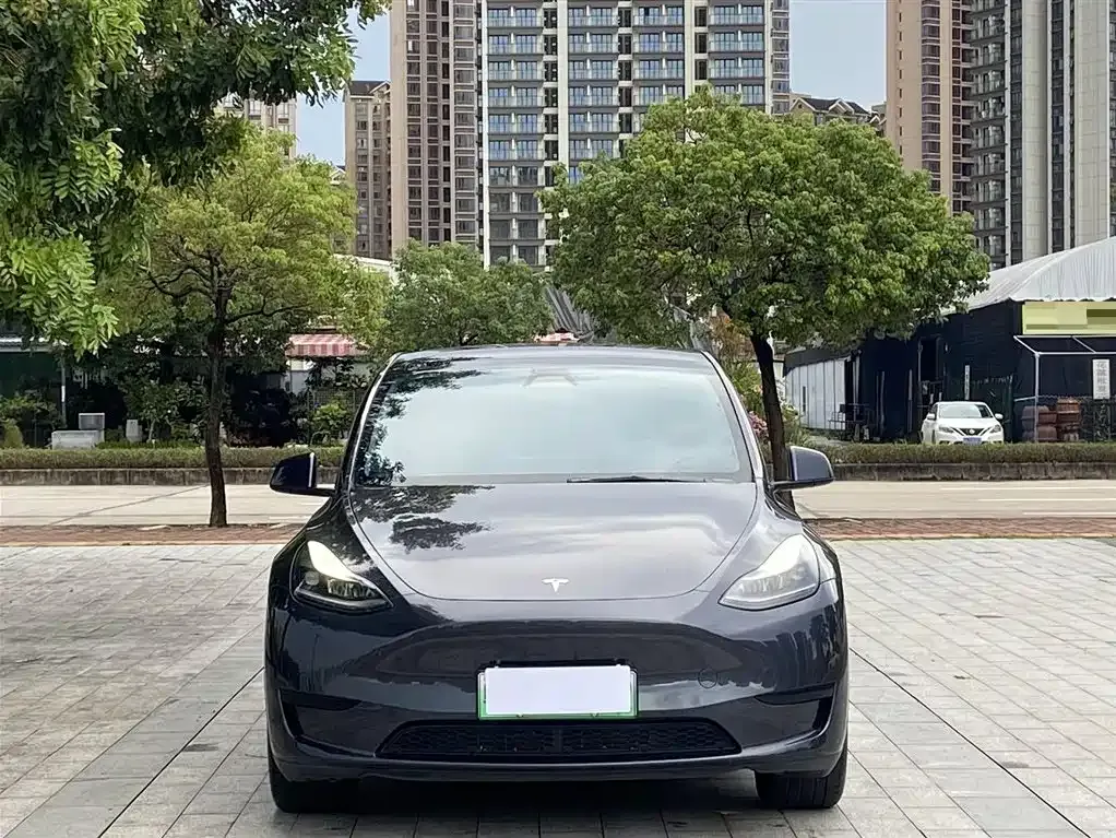 Tesla Model Y 2024 из CN, фото 2
