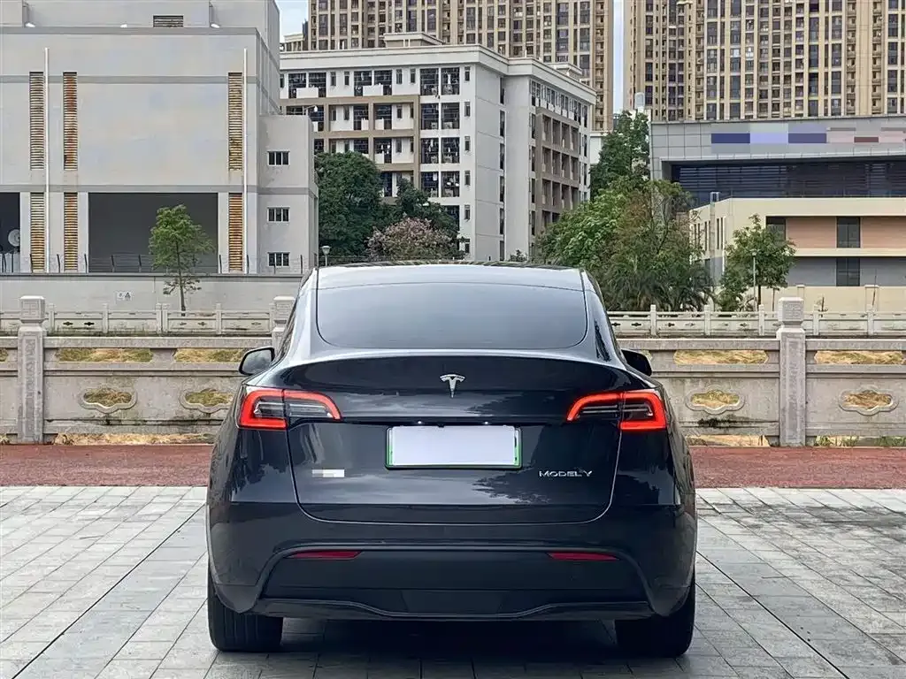 Tesla Model Y 2024 из CN, фото 8