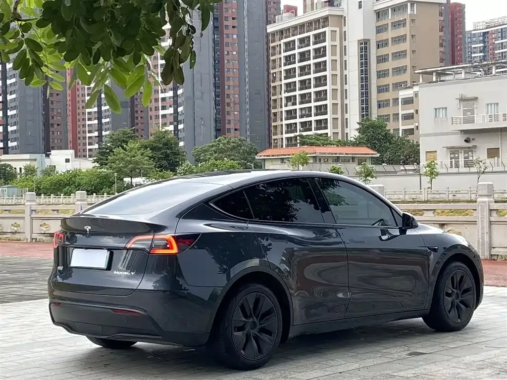 Tesla Model Y 2024 из CN, фото 9