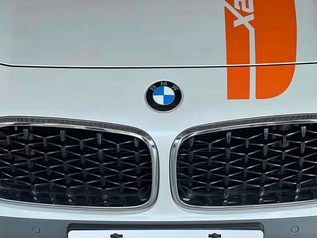 BMW X2 2021 из CN, фото 6