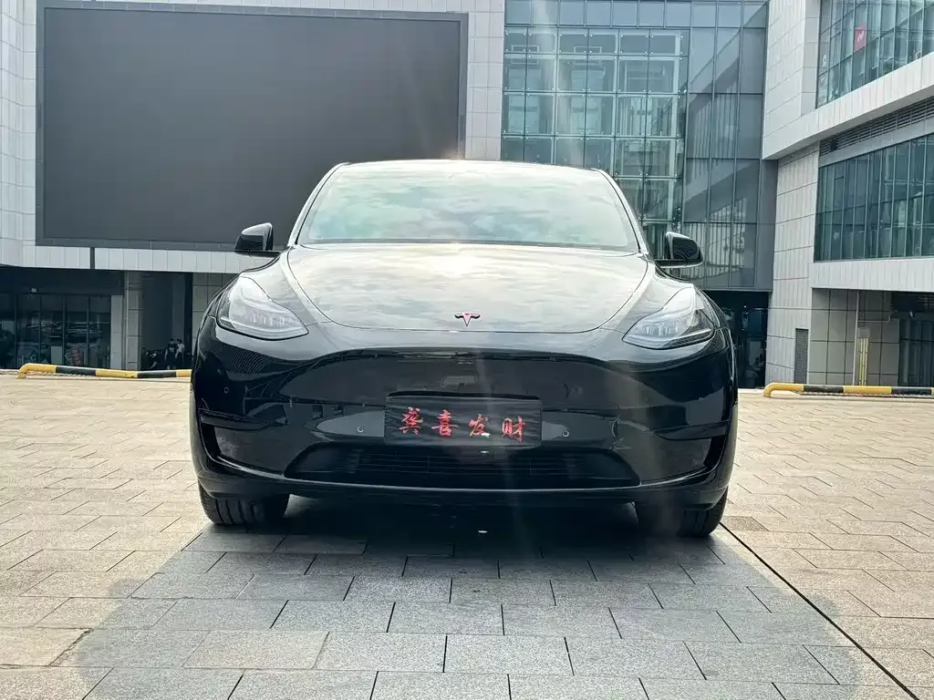 Tesla Model Y — фото 2