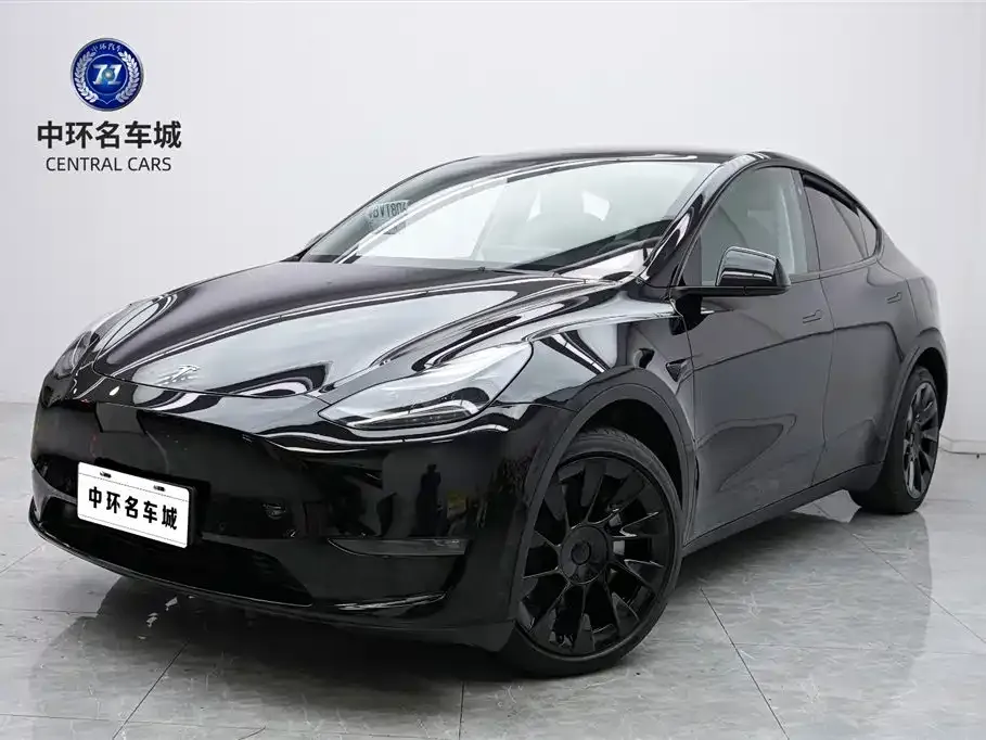 Tesla Model Y 2021 из CN, фото 1