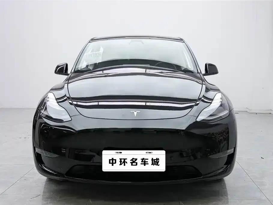 Tesla Model Y 2021 из CN, фото 2