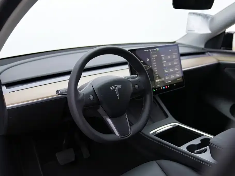 Tesla Model Y 2021 из CN, фото 7