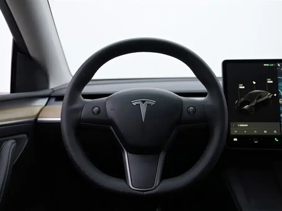 Tesla Model Y 2021 из CN, фото 8