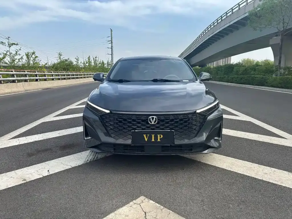 Changan Ruicheng PLUS 2023 из CN, фото 2
